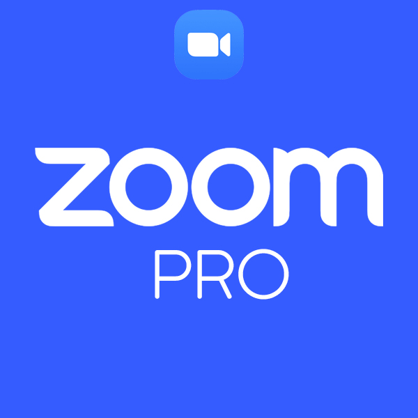 Подписка ZOOM Pro, 1 месяц